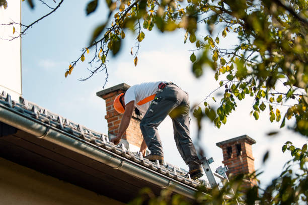 Best Roof Maintenance Services  in Renton, WA