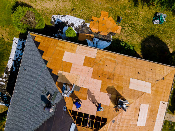 Best Best Roofing Contractors  in Renton, WA