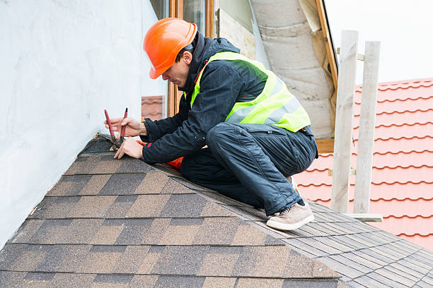 Best Local Roofing Companies  in Renton, WA