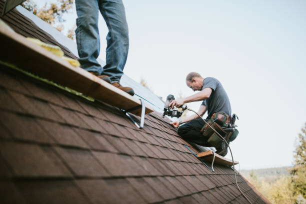 Best Roof Repair Services  in Renton, WA